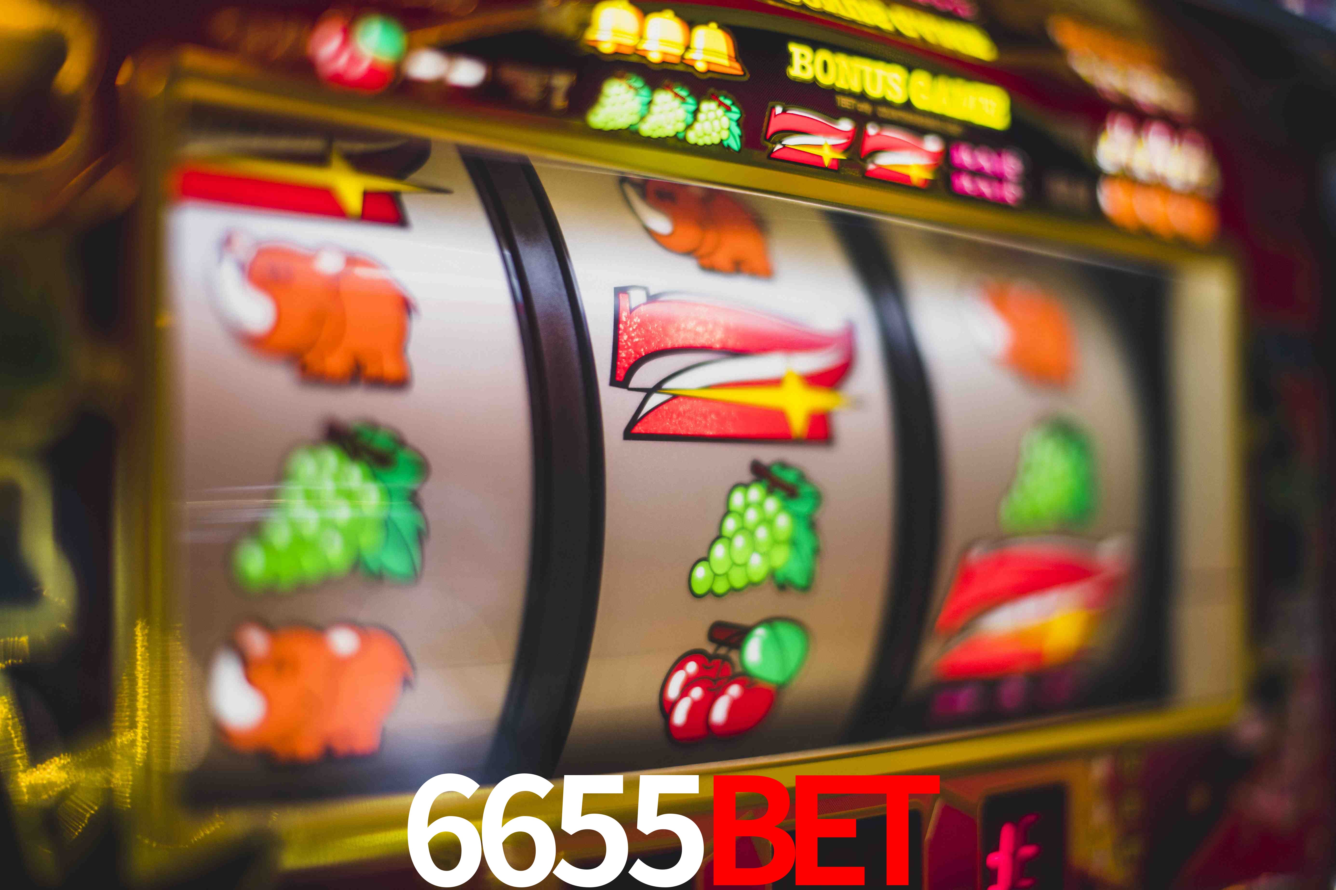 Sports Statistics 6655BET